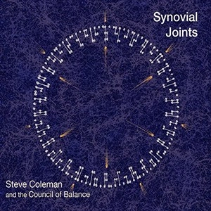 STEVE COLEMAN / スティーヴ・コールマン / SYNOVIAL JOINTS