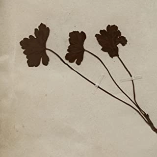 AKIRA KOSEMURA / 小瀬村晶 / トリオ / TRIO