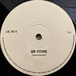 UNKNOWN ARTIST (REGGAE) / DUB FESTIVAL