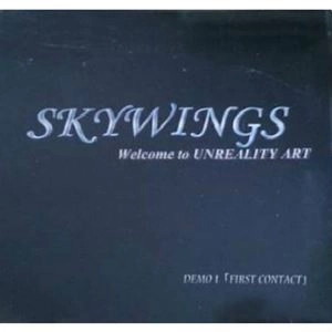 SKYWINGS / スカイウィングス / Welcome to UNREALITY ART