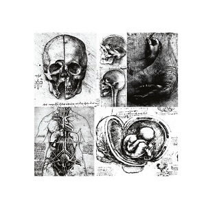 VIOLET POISON / ABSENCE GENRATOR