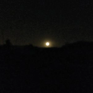 HACAVITZ / DARKNESS BEYOND