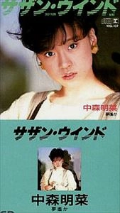 AKINA NAKAMORI / 中森明菜 / サザン･ウインド