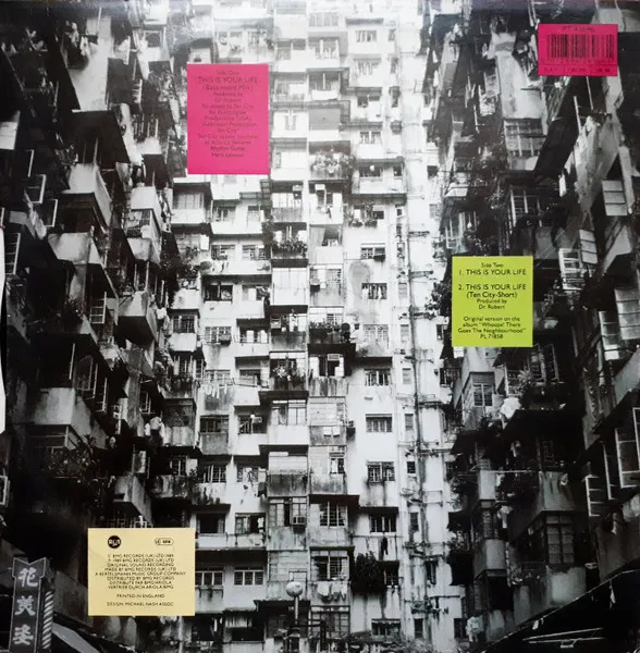 BLOW MONKEYS / ブロウ・モンキーズ / THIS IS YOUR LIFE