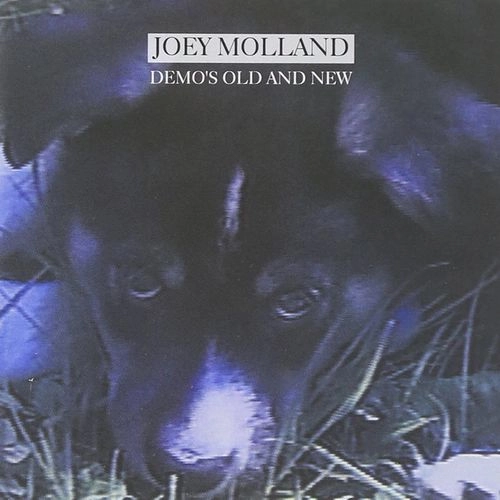 JOEY MOLLAND / ジョーイ・モランド / DEMOS OLD AND NEW