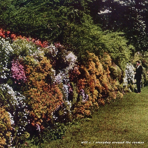 WILL C. / EVERYDAY AROUND THE COSMOS