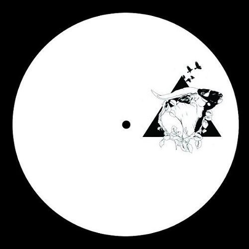 V.A. / OHWL#SEVEN