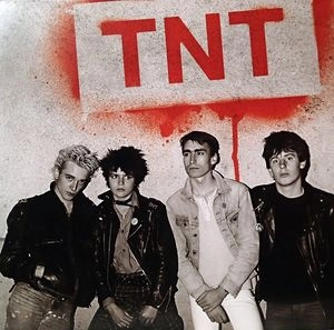 TNT (PUNK) / ティーエヌティー / COMPLETE RECORDINGS (LP)