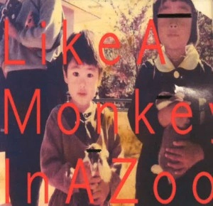 Like A Monkey In A Zoo / 虚数革命の夜ｅｐ