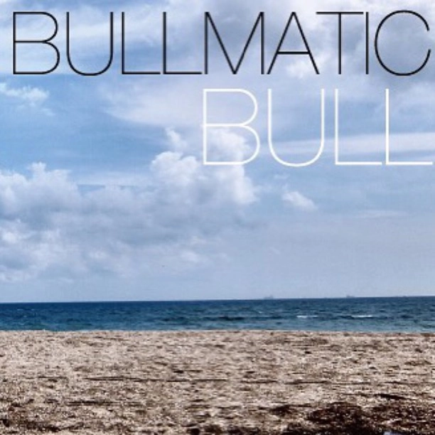 BULL(HIP HOP) / BULLMATIC
