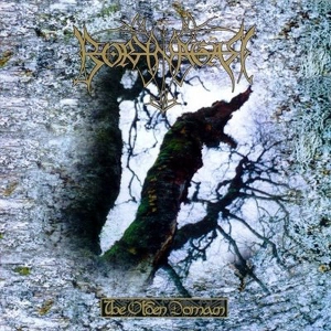 BORKNAGAR / ボルクネイガー / OLDEN DOMAIN