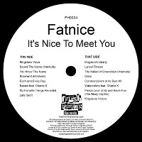 FATNICE / IT'S NICE TO MEET YOU