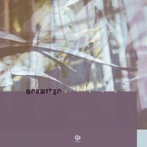 BRAWTHER / ブラウザー / ENDLESS