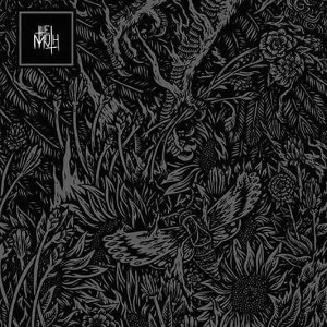 THE MOTH / AND THEN RISE<DIGI>