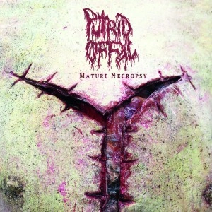PUTRID OFFAL / MATURE NECROPSY<DIGI>