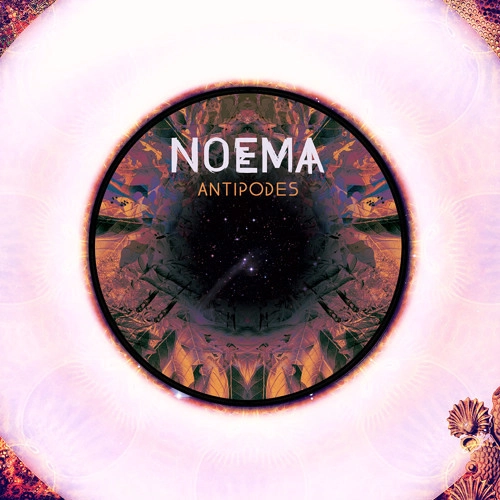 NOEMA / ANTIPODES