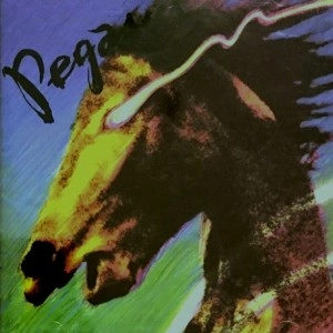 PEGASUS (AOR) / ペガサス / PEGASUS