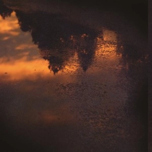 CELER & HAKOBUNE / ＶＡＩＮ ＳＨＡＰＥＳ ＡＮＤ ＩＮＴＲＩＣＡＴＥ ＰＡＲＡＰＥＴＳ / VAIN SHAPES AND INTRICATE PARAPETS