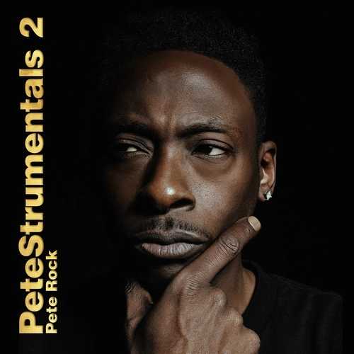 PETE ROCK / PETESTRUMENTALS 2