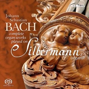 VARIOUS ARTISTS (CLASSIC) / オムニバス (CLASSIC) / BACH: COMPLETE ORGAN WORKS PLAYED ON SILBERMANN ORGANS
