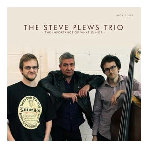 STEVE PLEWS / IMPORTANCE OF WHAT IS NOT