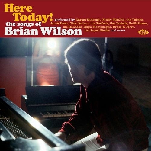 BRIAN WILSON / ブライアン・ウィルソン / HERE TODAY! THE SONGS OF BRIAN WILSON