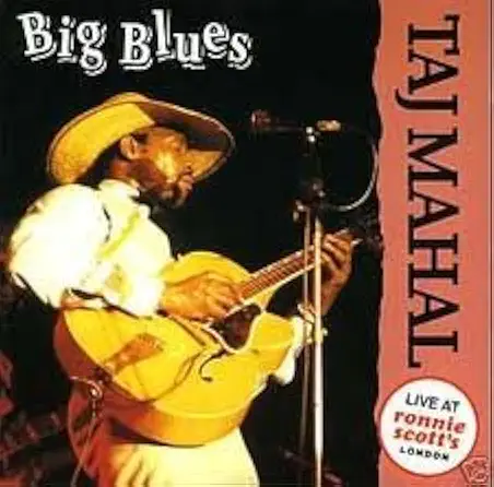TAJ MAHAL / タジ・マハール / BIG BLUES