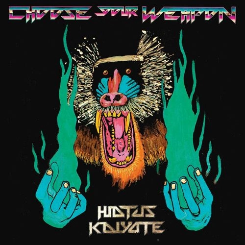 HIATUS KAIYOTE / ハイエイタス・カイヨーテ / CHOOSE YOUR WEAPON