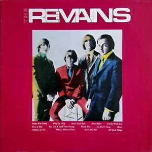REMAINS / リメインズ / REMAINS