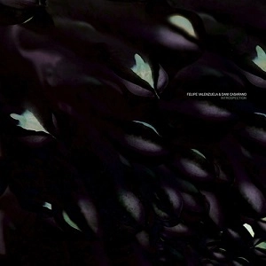 FELIPE VALENZUELA & DANI CASARANO / INTROSPECTION