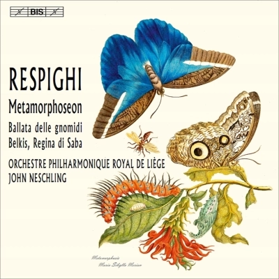 JOHN NESCHLING / ジョン・ネシュリング / RESPIGIHI:BERKIS,REGINA DI SABA/METAMORPHOSEON/ETC