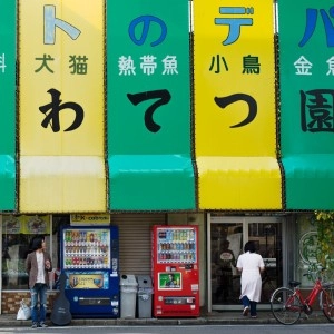 SASAKI RYUTA / 佐々木龍大 / ララバイ
