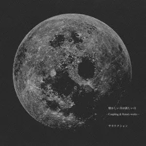 Sakanaction / サカナクション / 懐かしい月は新しい月 ~Coupling & Remix works~ / NATSUKASHII TSUKI HA ATARASHII TSUKI -COUPLING & REMIX WORKS-