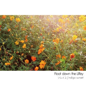 Float down the Liffey / ソレイユ/ indigo sunset