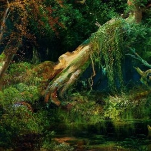 ELYSIA CRAMPTON / MOTH/LAKE