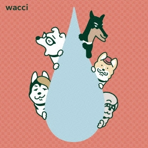 wacci /    v