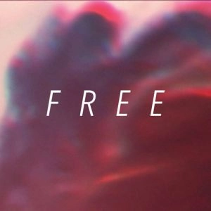 HUNDREDTH / FREE<PAPERSLEEVE>