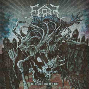 FERAL (METAL) / WHERE DEAD DREAMS DWELL