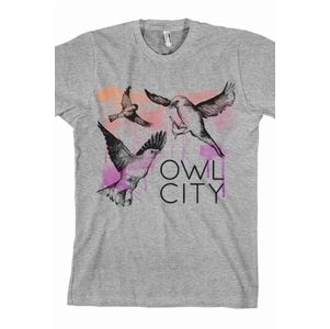 OWL CITY / アウル・シティー / BIRDS TEE (HEATHER GREY) T (M)