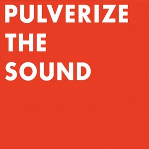 PETER EVANS / ピーター・エヴァンス / PULVERIZE THE SOUND