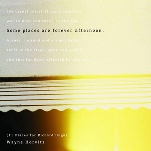 WAYNE HORVITZ / ウェイン・ホーヴィッツ / Some Places Are Forever Afternoon