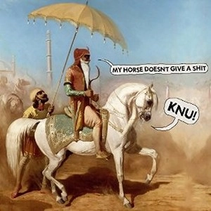 KNU / MY HORSE DOESN'T GIVE A SHIT