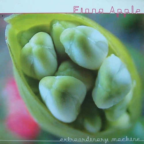 FIONA APPLE / フィオナ・アップル / EXTRAODINARY MACHINE