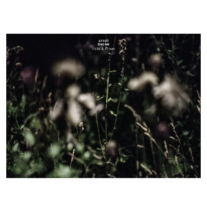 ANNELI DRECKER  / アンネリ・ドレッカー / ROCKS & STRAWS