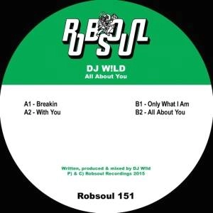 DJ WILD / DJワイルド / ALL ABOUT YOU