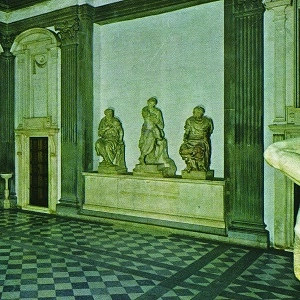 DUCKTAILS / ダックテイルズ / ST. CATHERINE (LP)