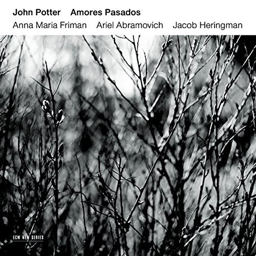 JOHN POTTER / ジョン・ポッター / AMORES PASADOS