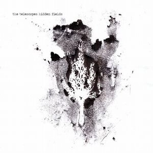 TELESCOPES / テレスコープス / HIDDEN FILEDS