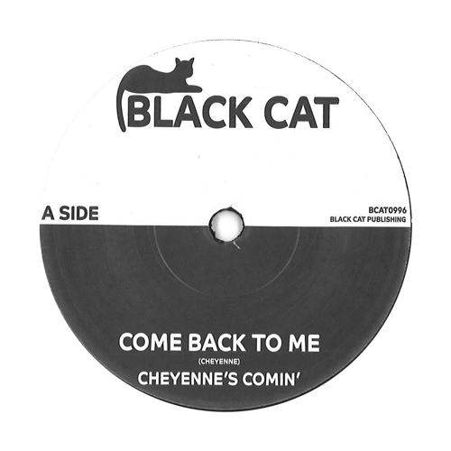 CHEYENNE'S COMIN' / HANSON / COME BACK TO ME / TAKE ME TO YOUR HOME (SOLID CENTER)