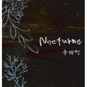 TERADAMACHI / 寺田町 / Nocturne